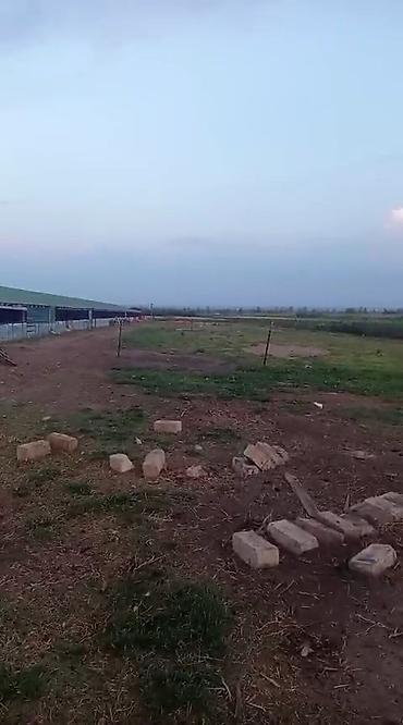 dostluq kinoteatri unvani: Ferma satilir Fuzuli rayonunda. ərazi 3 hektar Nar baǧi movcudur.Su — 7