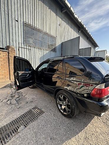 капот на газ 53: BMW X5: 2006 г., 4.4 л, Автомат, Бензин, Кроссовер — 1