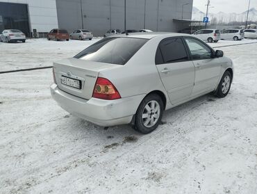 таёта королла: Toyota Corolla: 2005 г., 1.6 л, Механика, Бензин, Седан