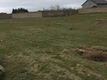 Kabrolar: Kənd təsərrüfatı, Mülkiyyətçi