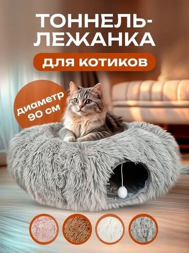 купить клетку для крысы: Лежанка тонель для кошки! Отдам за спасибо) срочно в связи с