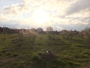 Torpaq sahələrinin satışı: 25 sot, Tikinti, Makler, Kupça (Çıxarış) — 7