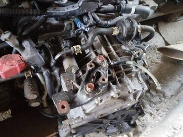 Двигатели, моторы и ГБЦ: Коробка передач Автомат Honda