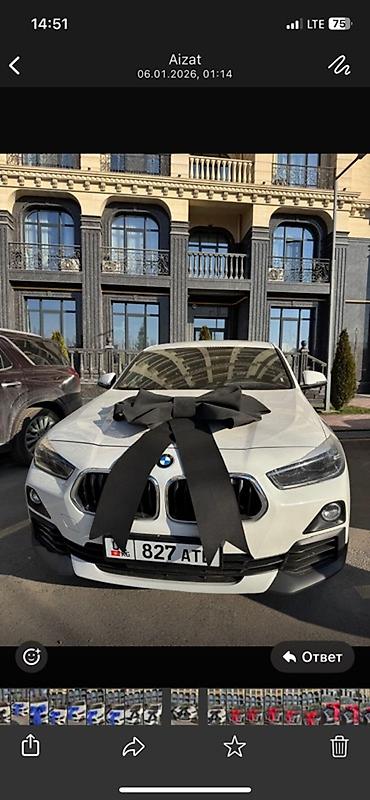 Декоративные ленты и банты: Сдается в аренду Большой праздничный бант на автомобиль цвета — 11