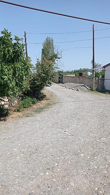 bilgeh ev satilir: 22 sot, Tikinti, Mülkiyyətçi, Kupça (Çıxarış) — 2