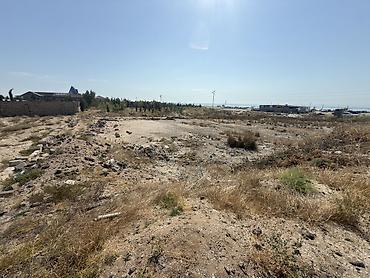 bagi: 6 sot, Tikinti, Mülkiyyətçi, Kupça (Çıxarış) — 6