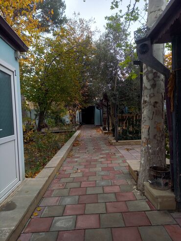 Restoran, kafelər: Tecili Heyder Eliyev prospektinde Wefa stadiondan uzu Korogluya esas — 6