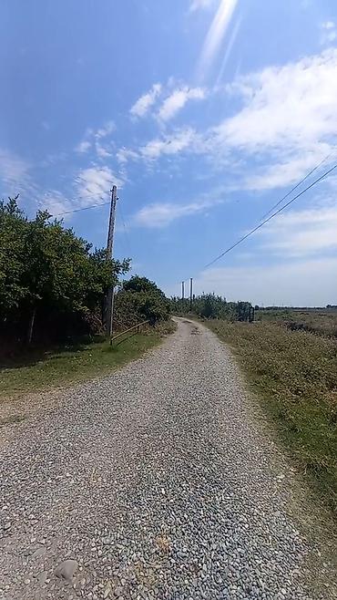 Həyət evləri və villaların satışı: 4 otaqlı, 3000 kv. m, Orta təmir — 11