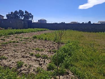 türkanda ev: 12 sot, Tikinti, Mülkiyyətçi, Kupça (Çıxarış) — 3