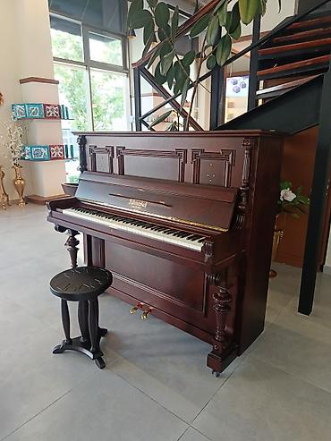 mekteb çanta: PETROF upright pianino – klassik Avropa səsi və müasir dizaynın — 5
