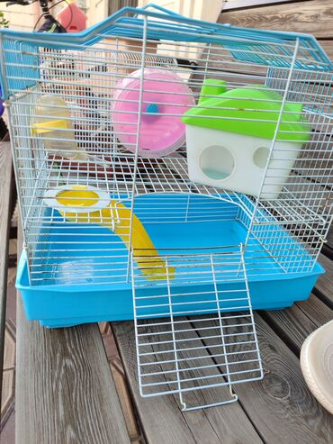 клетка для попугаев: Продаётся прекрасная двухэтажная клетка в комплекте домик, колесо