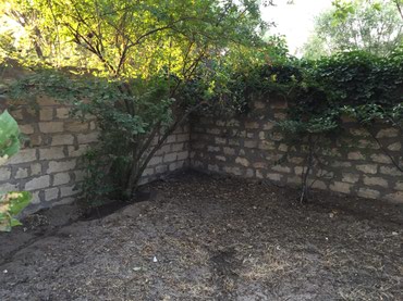 Həyət evləri və villaların satışı: 6 otaqlı, 165 kv. m, Orta təmir — 7