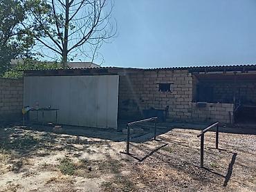 buzovnada torpaq: 4 sot, Biznes üçün, Mülkiyyətçi — 8