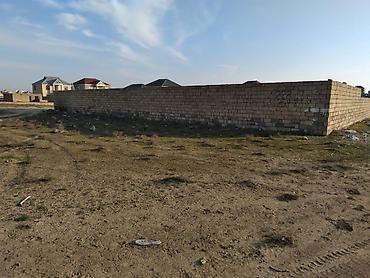 torpa: Tikinti — 2