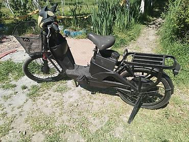 Ostali motocikli i skuteri: Električni skuter – kargo/utility tip - Boja: crna, niskog rama za — 1