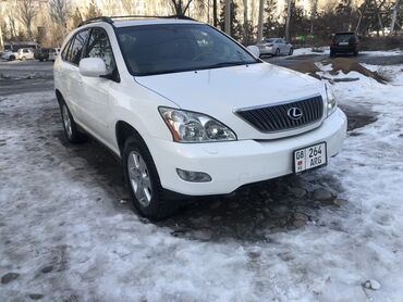 Lexus: Lexus RX: 2004 г., 3.3 л, Автомат, Бензин, Внедорожник