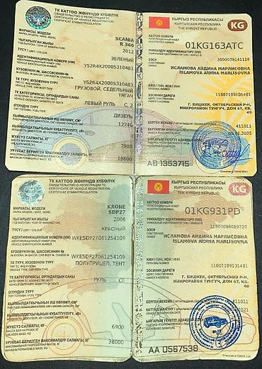 домики на колесах: Тягач, Scania, Тентованный — 7