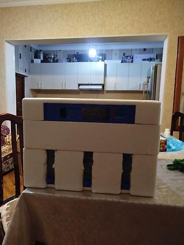 Avtomobil akkumulator zaryadkalari: 128 yumurta tutumlu inkubator. 3 dəfə istifadə olunub 128 yumurtadan — 2