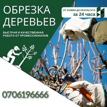 купить дворники фар на мерседес 124 в Кыргызстан | Автозапчасти: Обрезка плодовых деревьев