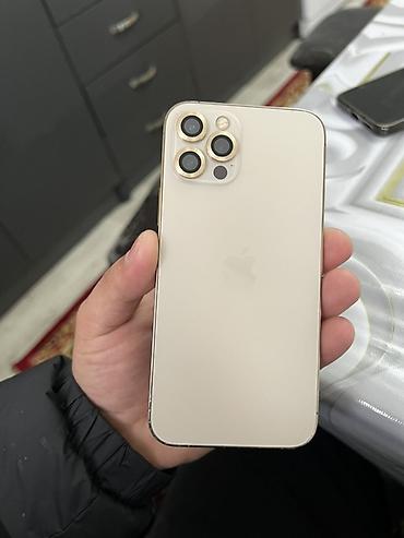 Apple iPhone: IPhone 12 Pro Max, Золотой — 1