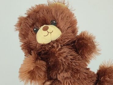 kapcie dla dzieci zwierzatka: Mascot Teddy bear, condition - Good