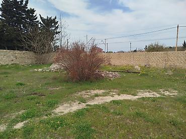goradil: 4 sot, Tikinti, Maklerlər narahat etməsin, Kupça (Çıxarış) — 4