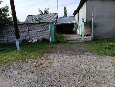 Продажа коттеджей и домов: Дом с хозяйственным двором - Планировка: прихожая, кухня — 27