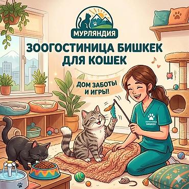 Другие услуги: Здравствуйте 🌿 Зоогостиница «Мурляндия» принимает только домашних — 1