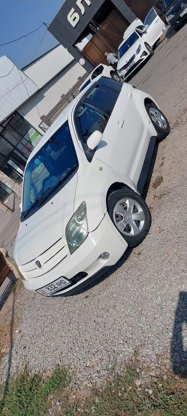 шторка на авто: Toyota ist: 2004 г., 1.5 л, Автомат, Бензин, Хэтчбэк