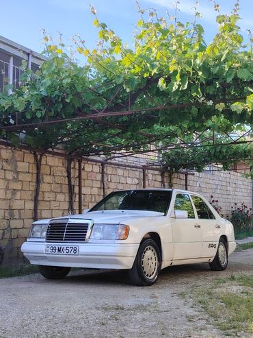 mercedes cls: Mercedes-Benz 290: 2.9 l | 1991 il Sedan