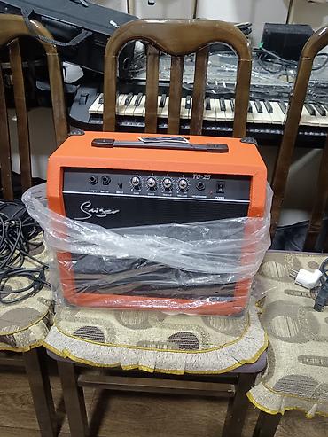 Səs avadanlığı: Squier TG-25 gitar gücləndiricisi - Tip: Elektrik gitar üçün kombo — 1
