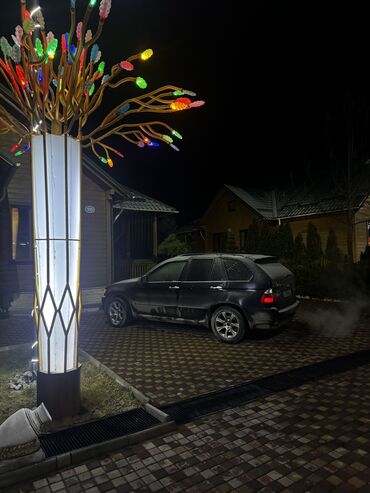 BMW: BMW X5: 2004 г., 4.4 л, Типтроник, Бензин, Кроссовер — 13