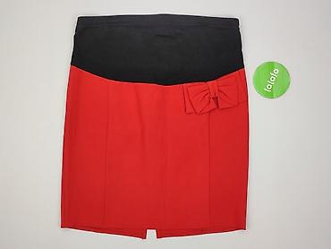 spódnice basic ciazowa: Spódnica damska, rozmiar 2XL — 2