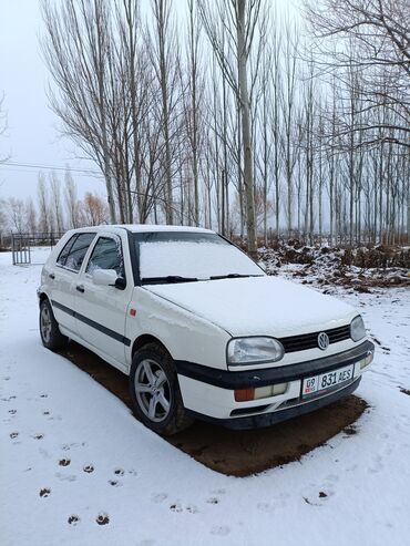 Volkswagen: Volkswagen Golf: 1992 г., 1.8 л, Механика, Бензин, Хэтчбэк