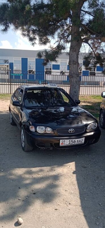 кузов каратыш: Toyota Corolla: 2000 г., 1.6 л, Механика, Бензин, Хетчбек