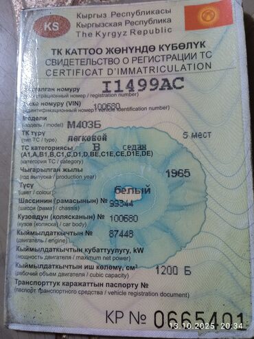 бампер форд фокус: Москвич 403: 1965 г., 1.5 л, Механика, Бензин, Седан
