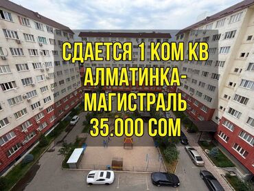 сдается комната кок жар: 1 комната, Риэлтор, С мебелью полностью