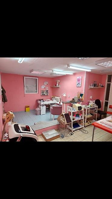 masinski vez cena: Kozmetički salon – kompletno opremljen prostor za rad,izdajem polovinu — 1