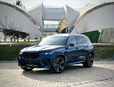 камера на машину: BMW X5: 2019 г., 3 л, Автомат, Бензин, Кроссовер