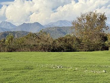 Torpaq sahələrinin satışı: 23 sot, Tikinti, Kupça (Çıxarış) — 1