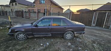 йешка 124: Mercedes-Benz W124: 1993 г., 2.2 л, Автомат, Бензин, Седан