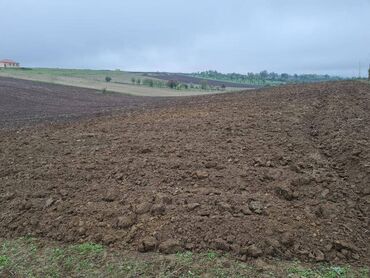 Torpaq sahələrinin satışı: 100 sot, Kənd təsərrüfatı, Mülkiyyətçi, Kupça (Çıxarış) — 3