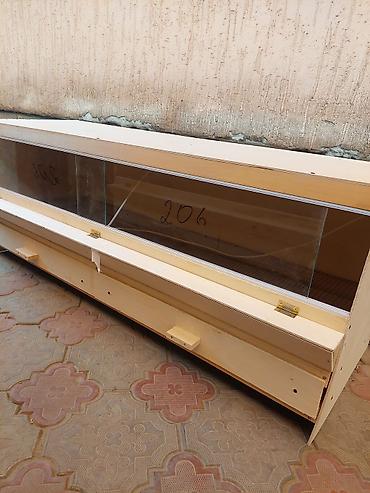 Куры, петухи: Продаю | Куры | Брама | Для разведения at lalafo.kg — 12 Куры, петухи: Продаю | Куры | Брама | Для разведения — 12