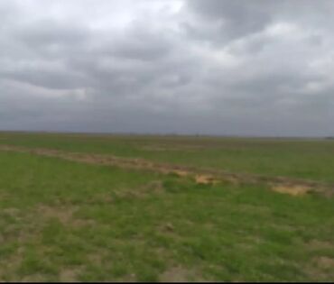 Torpaq sahələrinin satışı: Kənd təsərrüfatı -da lalafo.az — 3 Torpaq sahələrinin satışı: Kənd təsərrüfatı — 3