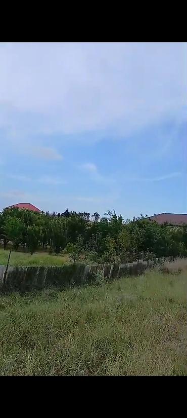 ipoteka ilə evlər: 12 sot, Mülkiyyətçi, Kupça (Çıxarış) — 3