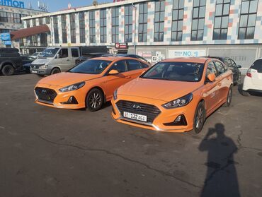 кузовной домкрат: Hyundai Sonata: 2019 г., 2 л, Бензин, Седан