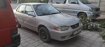 прадо prado: Toyota Corolla: 2000 г., 1.6 л, Автомат, Бензин, Седан — 6