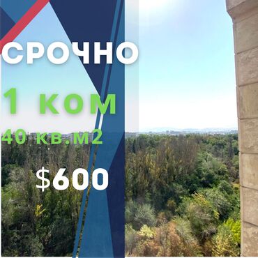 квартира ак ордо бишкек: 1 бөлмө, Кыймылсыз мүлк агенттиги, Чогуу жашоосу жок, Толугу менен эмереги бар