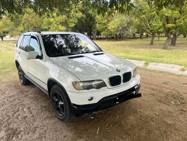 x5 g05: BMW X5: 2003 г., 3 л, Автомат, Дизель, Кроссовер