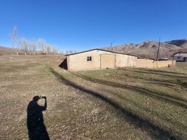 Сельхоз предприятия: Продаю Кошара, 150 соток, Действующий, С оборудованием, Электричество, Холодная вода — 4